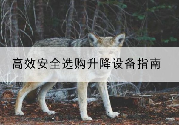 内蒙古升降货梯厂家推荐-*安全选购升降设备指南
