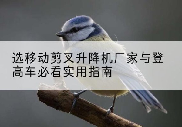 内蒙古电动升降机厂家-选移动剪叉升降机厂家与登高车必看实用指南